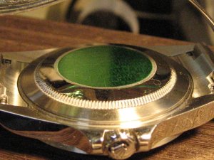 IMG_1524.JPG