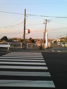 D1000017.JPG