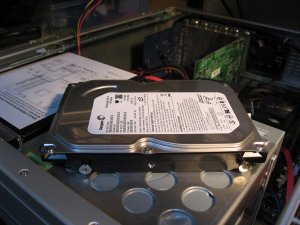 IMG_1935.JPG
